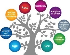 Protected Characteristics image